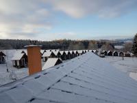 IMG_20221119_081205 (800x600).jpg
